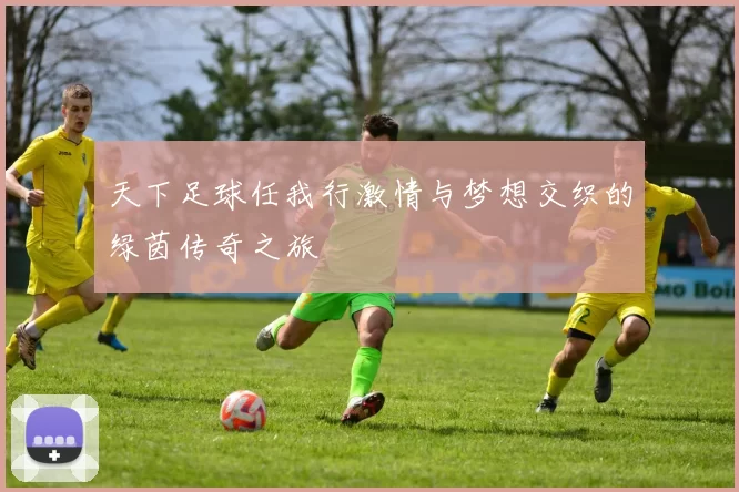 天下足球任我行激情与梦想交织的绿茵传奇之旅