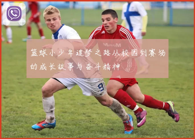 篮球小少年追梦之路从校园到赛场的成长故事与奋斗精神