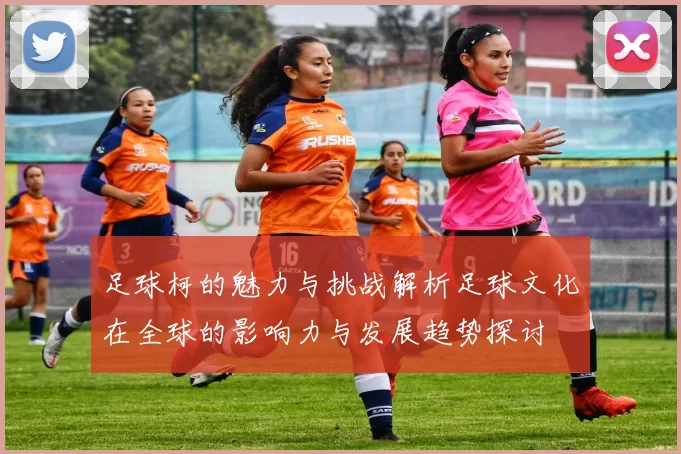 足球柯的魅力与挑战解析足球文化在全球的影响力与发展趋势探讨